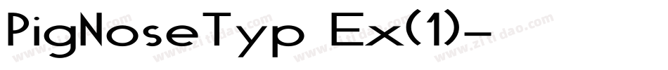PigNoseTyp Ex(1)字体转换